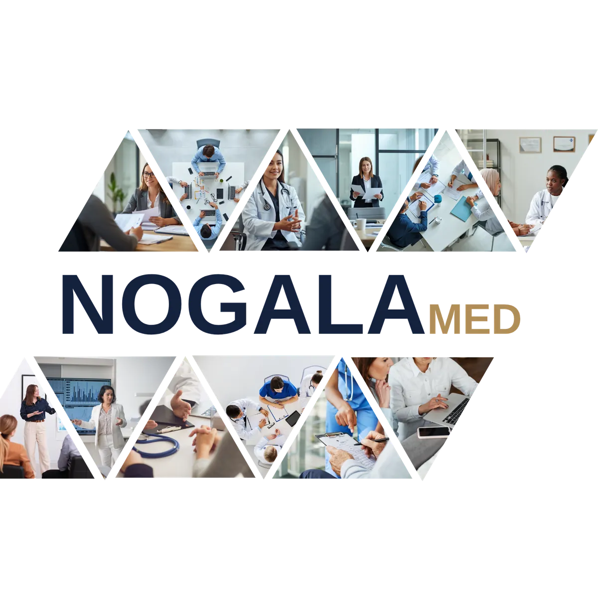 NOGALAmed — zespół i obszary działania